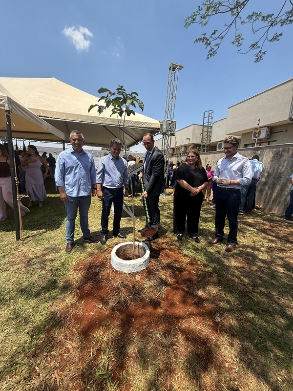 Pedra Fundamental Planta Ipe ok