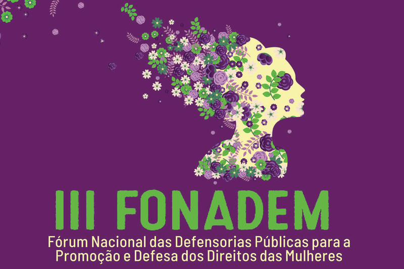 Defensoria Pública de MS integra criação de protocolo nacional sobre gênero e raça