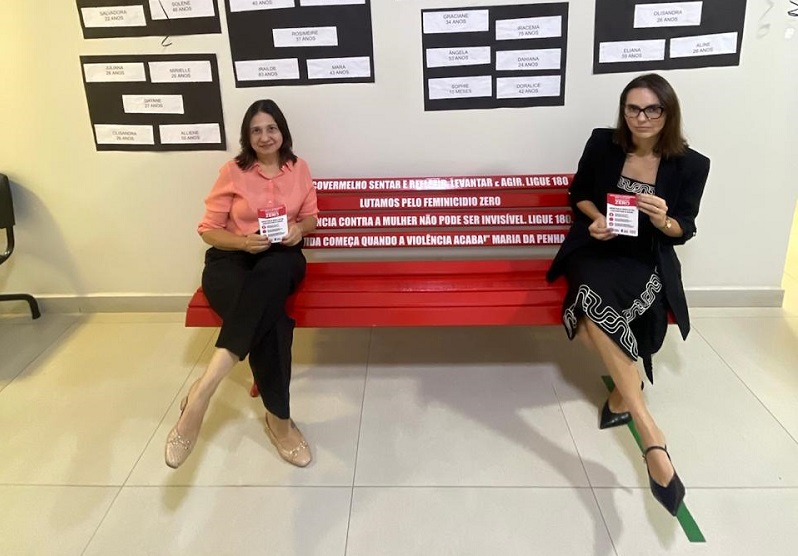 Dra Kricilaine vereadora Luisa