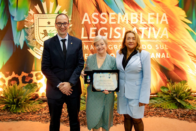 Titulo ALEMS Cidadao MS 4